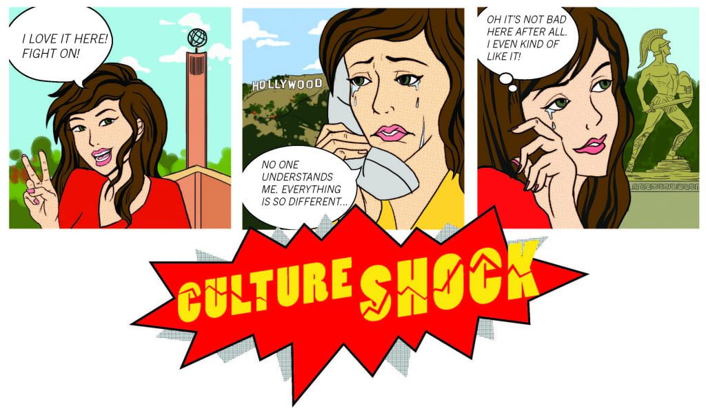 Culture Shock Cartoon