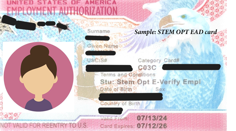 Here is an example of the Employment Authorization Document (EAD) you will receive from USCIS.